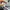 NIKE AIR JORDAN 1 LOW photo 7