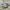 NIKE AIR JORDAN 1 LOW photo 1