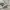 NIKE AIR JORDAN 1 LOW photo 4