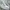 NIKE AIR JORDAN 1 LOW photo 2