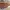 Chloé Vintage Casual Crossbody Bag Wanita brown photo 3