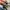 VANS SK8 low photo 7