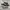 VANS SK8 low photo 1