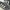 ADIDAS CAMPUS 00s photo 2