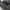 NEWBALANCE 1906R  photo 2