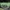 Y2K Hoody Pria green photo 3