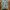 Y2K Hoody Pria green photo 1