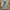 Y2K Hoody Pria green photo 2