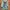 Y2K Hoody Pria Green