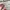 Bershkaa rare item crop photo 2