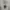 Bershkaa raree item tainted photo 1