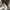 MILITARY BOMBER MA1 JACKET  photo 7