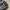 MILITARY BOMBER MA1 JACKET  photo 4