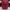 Louis Vuitton Luxury Casual Backpack Wanita red photo 2