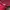 Louis Vuitton Luxury Casual Backpack Wanita red photo 6