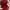 Louis Vuitton Luxury Casual Backpack Wanita red photo 4