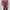 Louis Vuitton Luxury Casual Backpack Wanita red photo 1