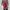 Louis Vuitton Luxury Casual Backpack Wanita Red