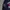 Hoodie Dickies Auten.  photo 3