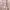 Uniqlo Streetwear Outerwear Kids tan photo 4