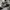 Converse Casual Sneakers Pria white black photo 2