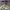 NEW BALANCE 9060 MILLENNIUM ELEPHANT HOOF , NEW BALANCE 9060 photo 3