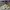 NEW BALANCE 9060 MILLENNIUM ELEPHANT HOOF , NEW BALANCE 9060 photo 1