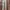 Louis Vuitton Casual Legging Wanita tan photo 4