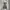 Leopard printed babydoll dress photo 1