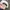vintage snapback usa photo 4