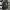 Adidas Backpack 3 Stripes photo 1