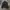 Adidas Backpack 3 Stripes photo 5