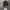 Primos Realtree Camo Ripped photo 2