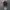 Primos Realtree Camo Ripped photo 6