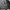 Arc’teryx Gorpcore Goretex Jacket photo 5