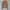 YELLOW CARDIGAN FULL KEPANG O-NECK BROWN UNIQLO GU ZARA photo 1
