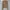 YELLOW CARDIGAN FULL KEPANG O-NECK BROWN UNIQLO GU ZARA photo 5