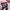 Skechers photo 6