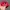 Vintage Streetwear Hat Pria red photo 5