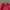 Vintage Streetwear Hat Pria red photo 4