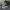 Diesel Contructors Camo Army photo 3