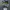 Diesel Contructors Camo Army photo 2