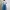 Uniqlo Vintage Wide leg jeans Wanita navy black photo 6