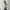 Sportswear Casual Sweatshirt Wanita white gray photo 3
