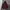 F2F Veterano Flanel Hooded Jacket photo 1