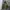 N2B Type Military Bomber Jacket photo 3