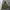 N2B Type Military Bomber Jacket photo 1