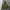 N2B Type Military Bomber Jacket