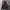 Adidas Climawarm Paded Jacket photo 1