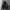 Adidas Climawarm Paded Jacket photo 3